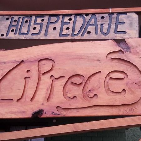 Hospedaje Los Cipreses Coyhaique Kültér fotó
